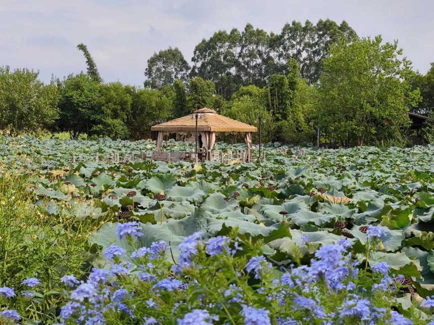安博电竞·(中国区)官方网站
